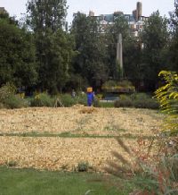 A scarecrow in Paris