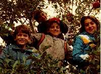 Another Ann Arbor apple picking picture