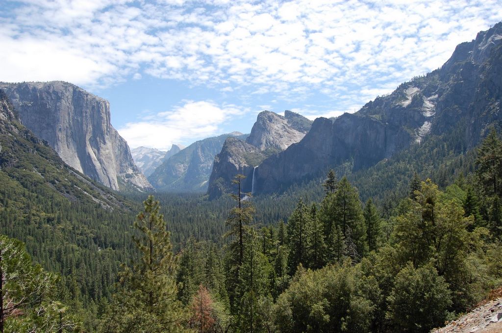 2008_06_02_ca_yosemite_mariposa_grove_tunnel_tree_explanation__243.jpg (large)